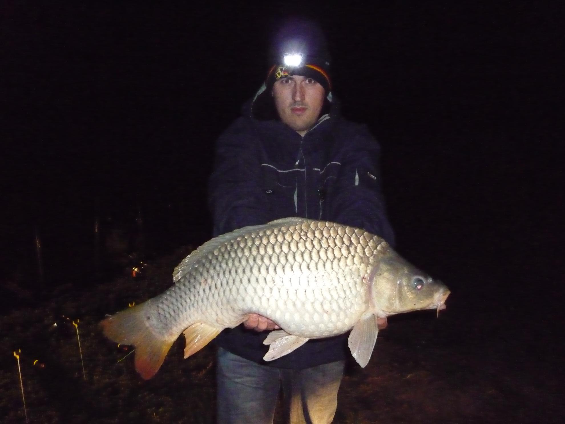 Hobaia - p1010631.jpg